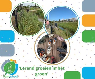 2025 september groen