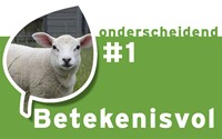 Betekenisvol