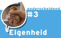 Eigenheid